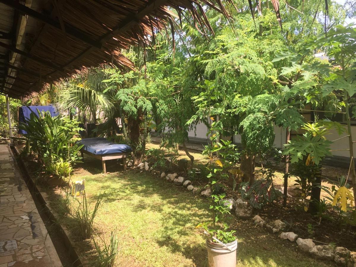 Olivias Accommodation Апиа Екстериор снимка